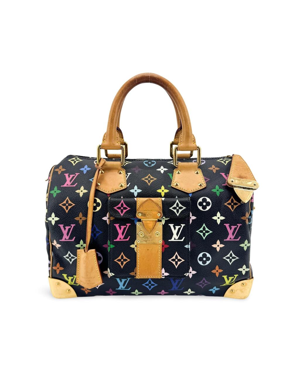 Louis Vuitton Multicolor Speedy 30 #364192L88B